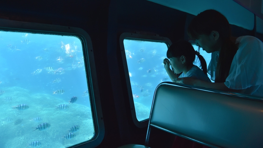 【服を着たまま水中散歩】半潜水式の水中観光船「シースカイ」チケット付き/素泊まり